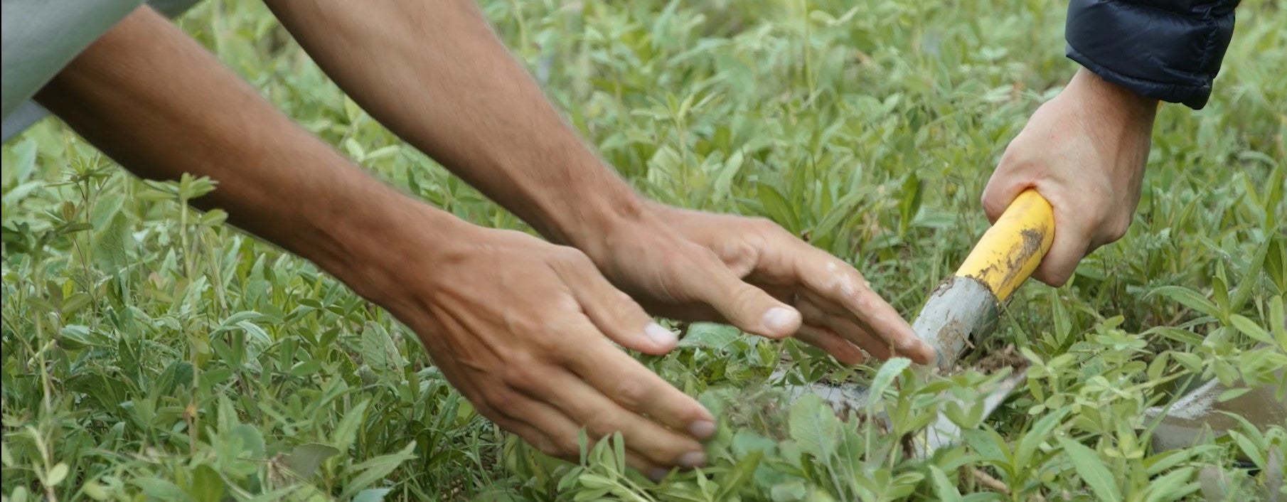 Nestlé : Earthworm et Sols Vivants – Bastien Sachet