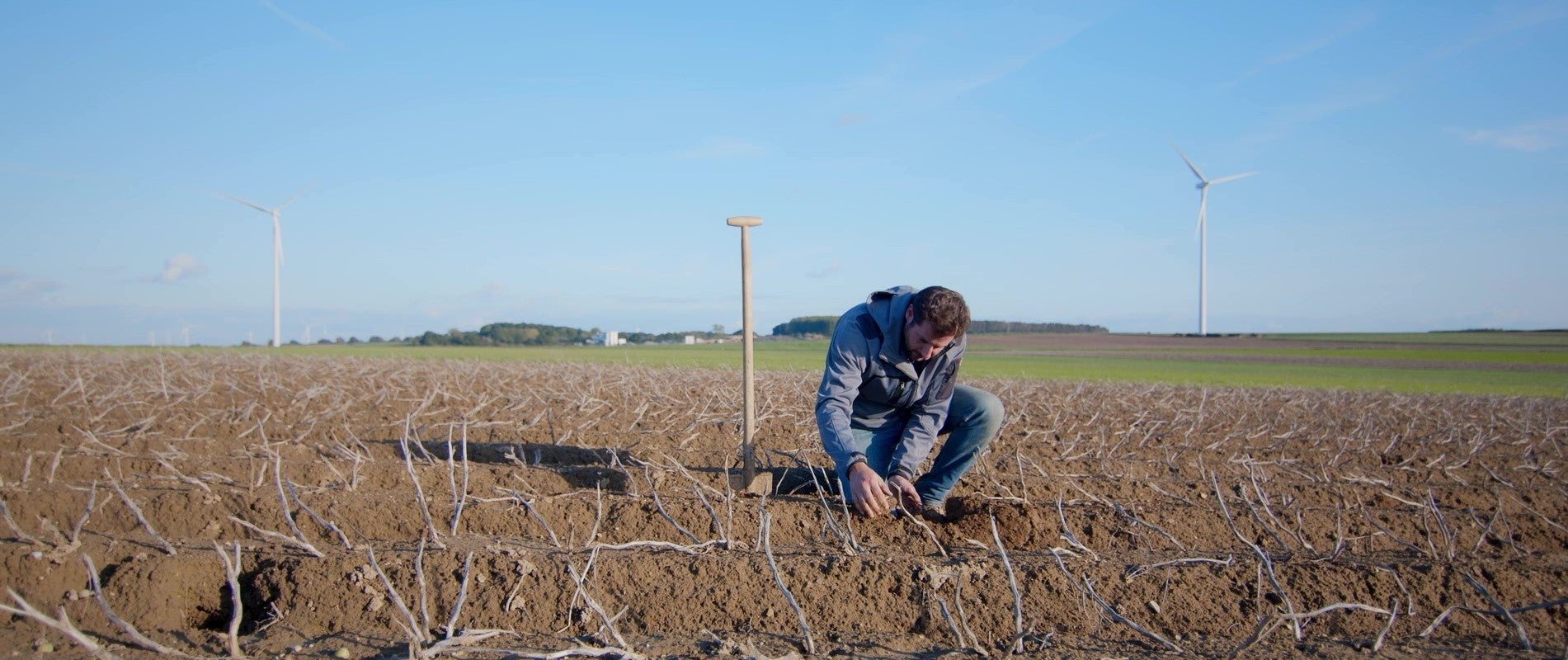 L'importance de la qualité des sols dans la production des pommes de terre 