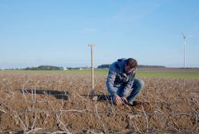 L'importance de la qualité des sols dans la production des pommes de terre 