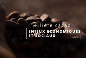Cacao, Nestlé, Rainforest Alliance